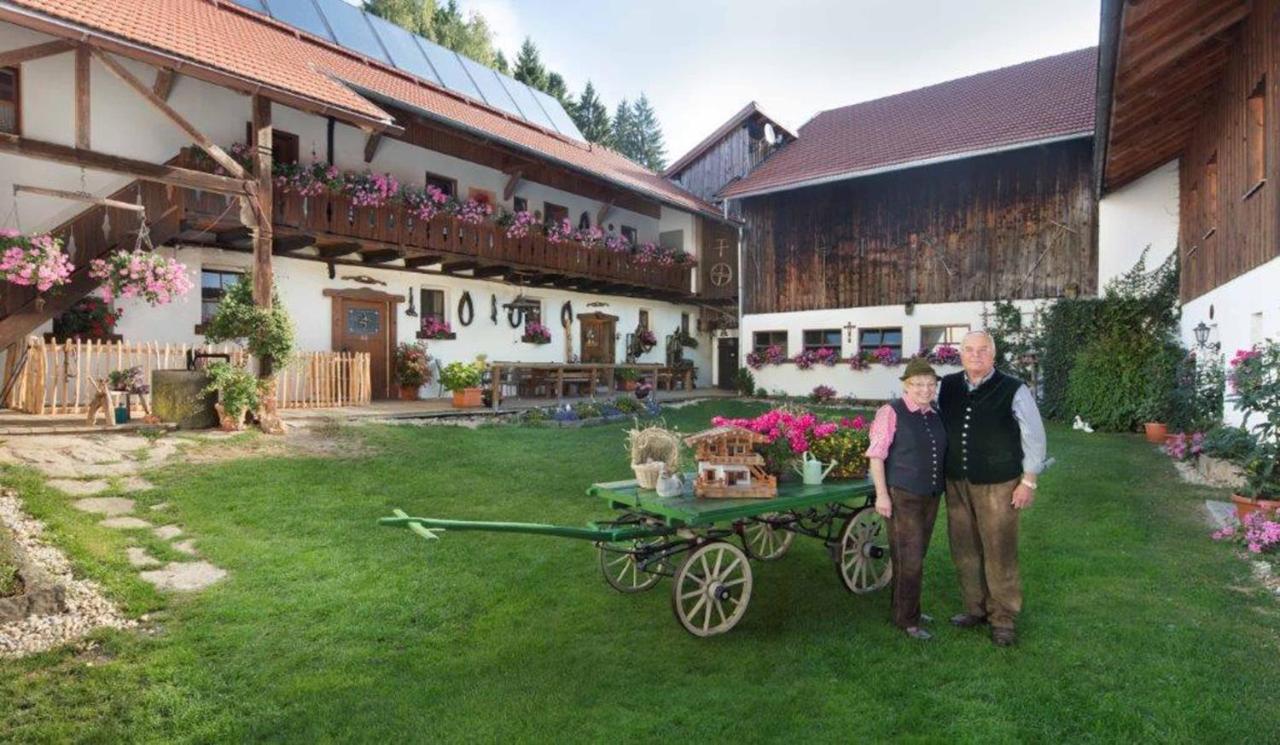 Bayerwald-Ferienhof Schmid Eppenschlag Exterior foto